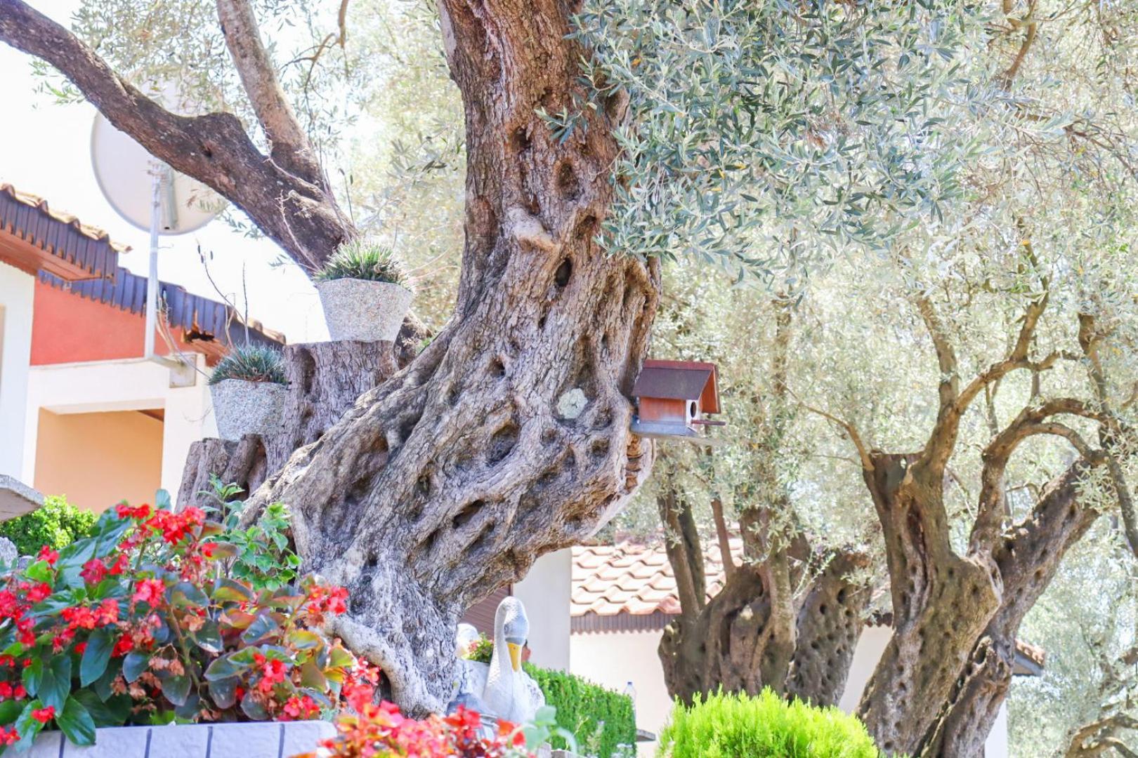 Hilja'S Oliven Garden Bungalows Ulcinj Luaran gambar