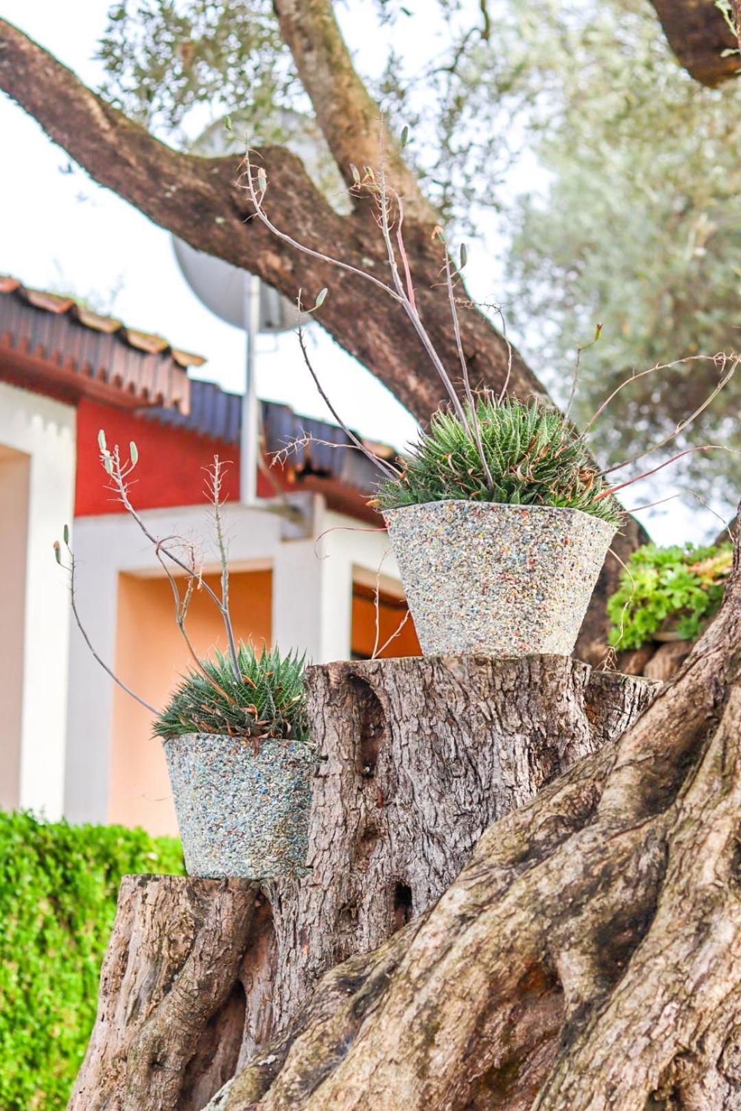 Hilja'S Oliven Garden Bungalows Ulcinj Luaran gambar