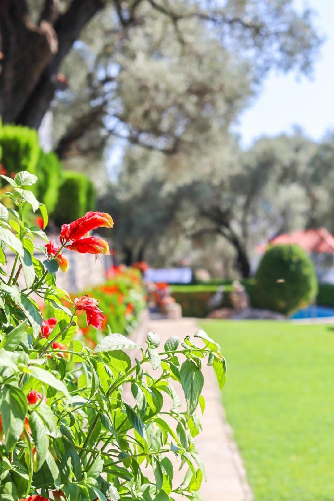 Hilja'S Oliven Garden Bungalows Ulcinj Luaran gambar
