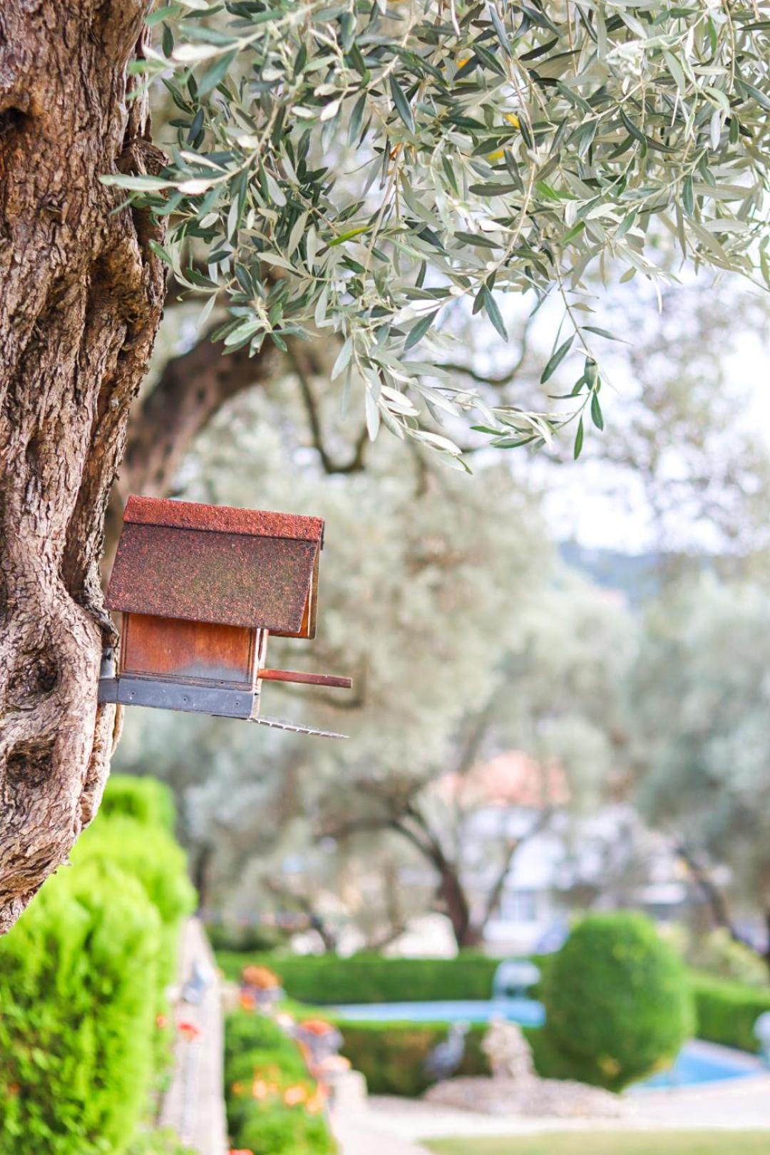 Hilja'S Oliven Garden Bungalows Ulcinj Luaran gambar