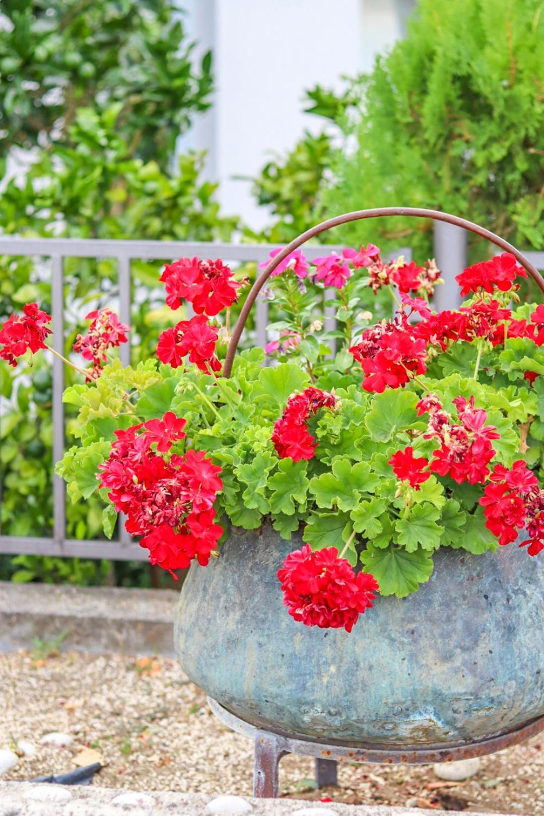 Hilja'S Oliven Garden Bungalows Ulcinj Luaran gambar