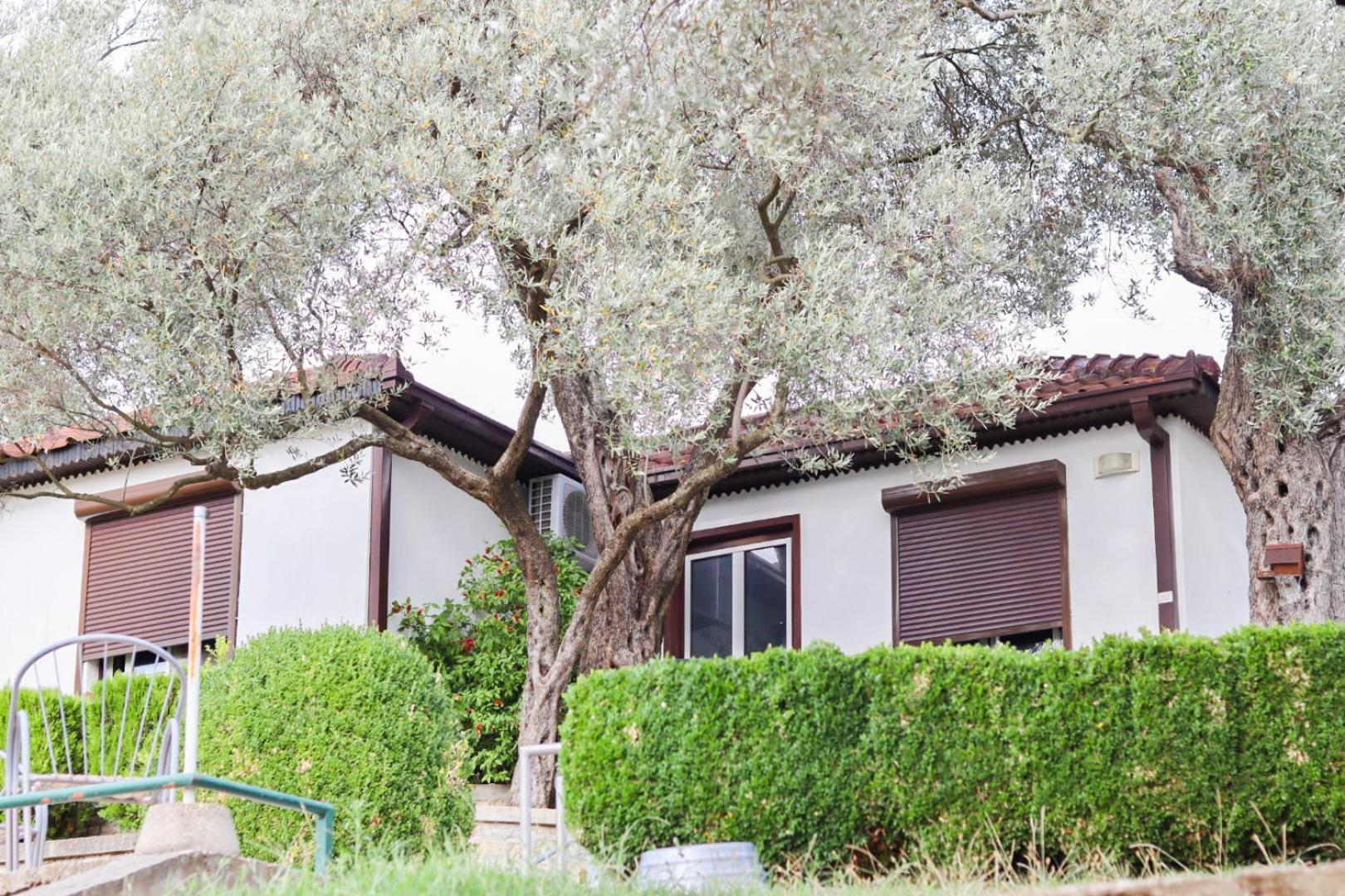 Hilja'S Oliven Garden Bungalows Ulcinj Luaran gambar