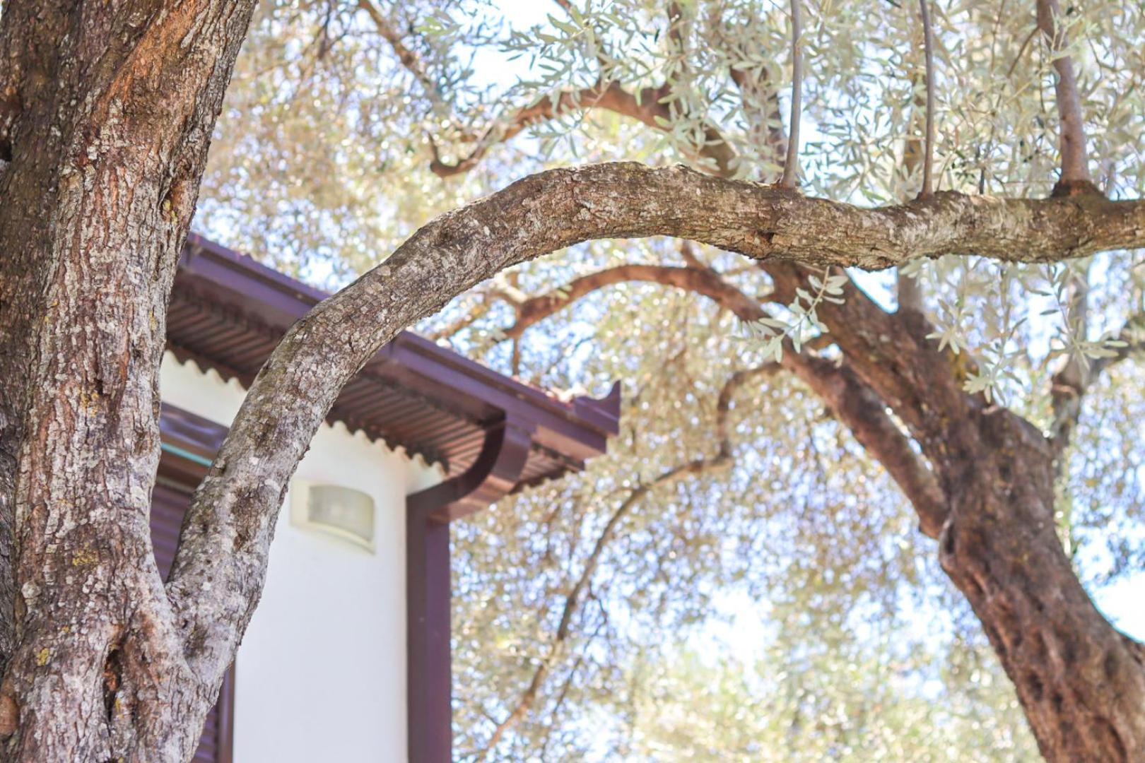 Hilja'S Oliven Garden Bungalows Ulcinj Luaran gambar