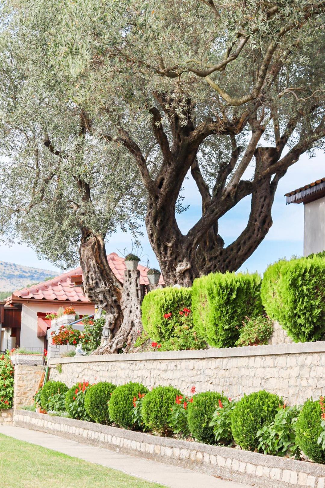 Hilja'S Oliven Garden Bungalows Ulcinj Luaran gambar