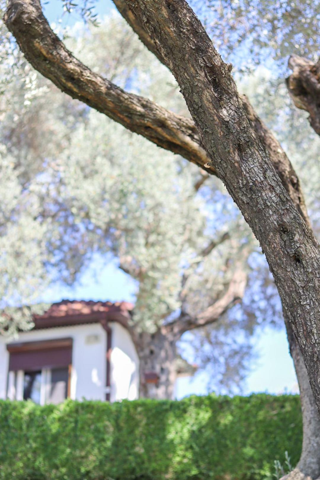 Hilja'S Oliven Garden Bungalows Ulcinj Luaran gambar