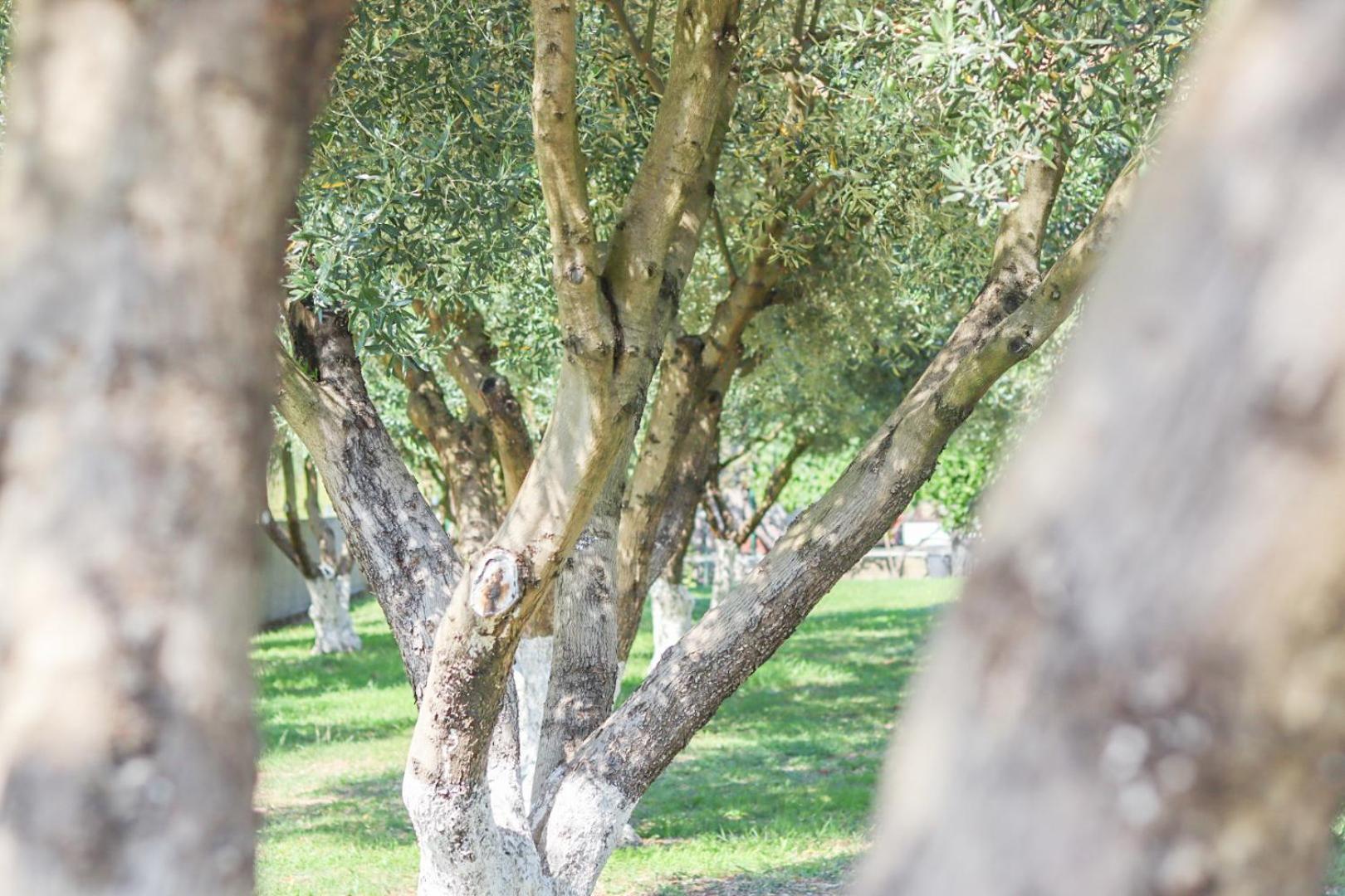 Hilja'S Oliven Garden Bungalows Ulcinj Luaran gambar