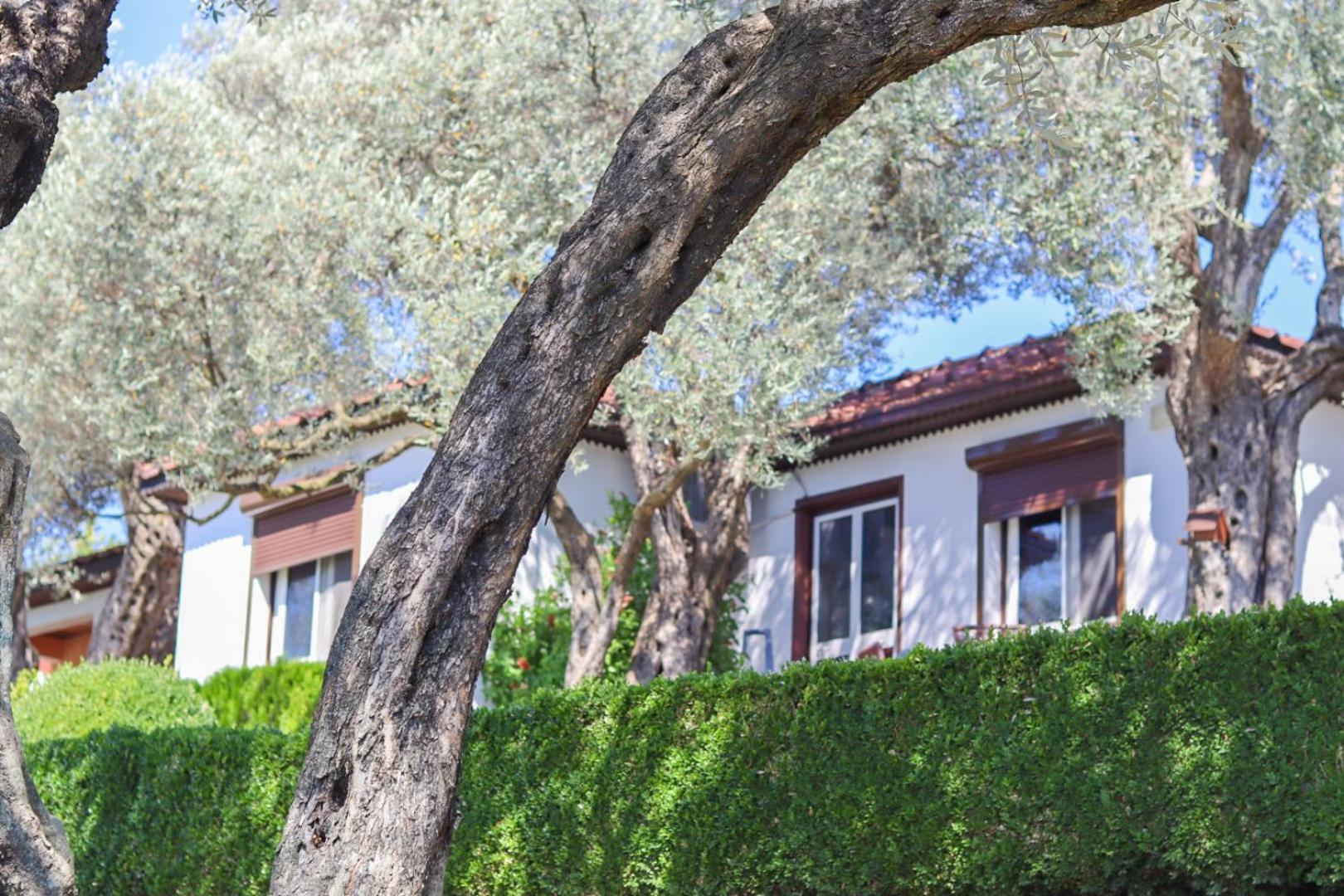 Hilja'S Oliven Garden Bungalows Ulcinj Luaran gambar