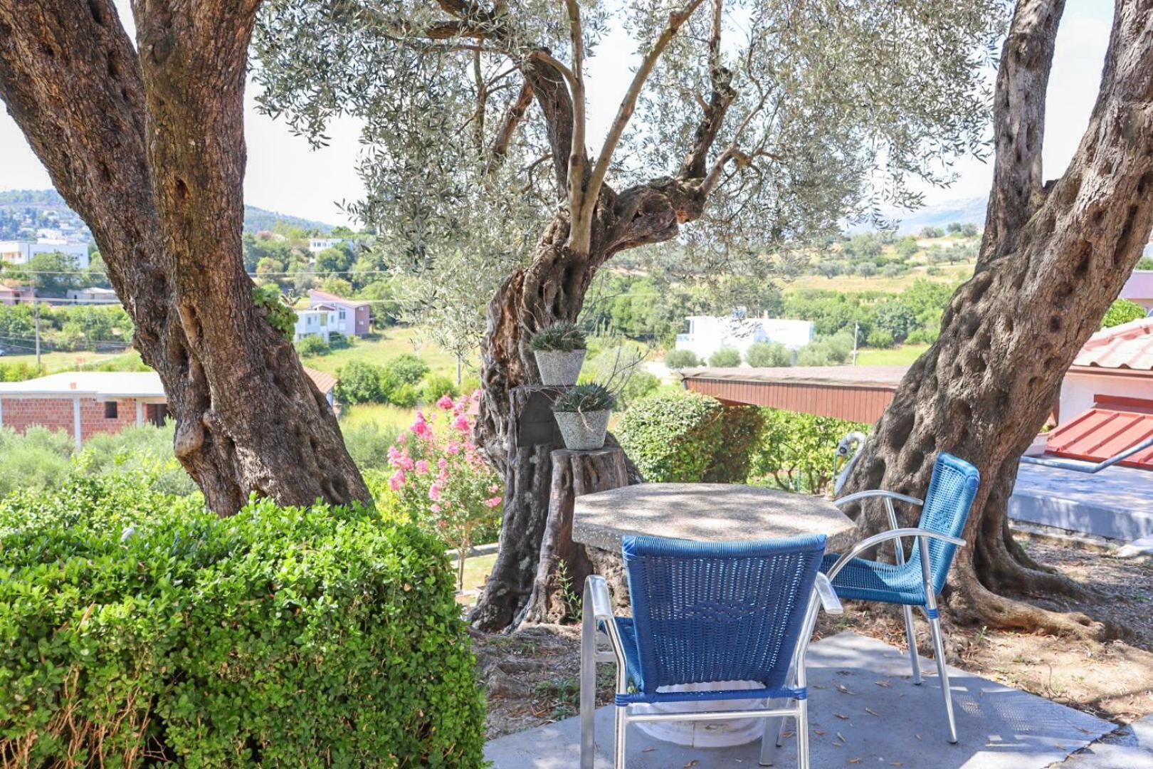 Hilja'S Oliven Garden Bungalows Ulcinj Luaran gambar